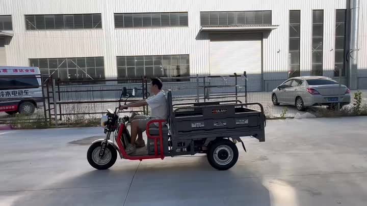 three wheel electric vehicle