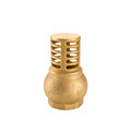 China Manufacturer Brass Check Valve, Foot Valve, and Bottom Valve Search Engine1