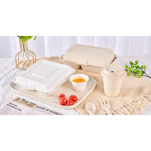 지속 가능한 포장 분야에서 Bagasse는 어떻게 성장할 수 있습니까?