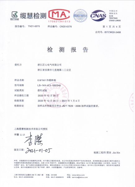 Inspection Report