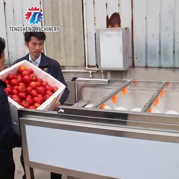 Máquina de lavar frutas e vegetais TS-M100