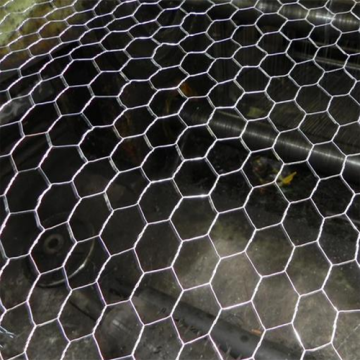 China Top 10 Chicken Net Fence Potential Enterprises