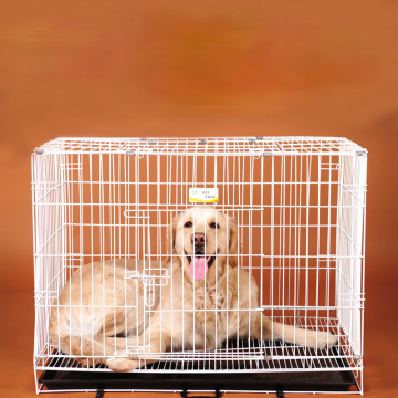 Top 10 Most Popular Chinese Pet cage Brands