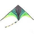 Best Selling Delta Kite with Kite String and Long Tail1