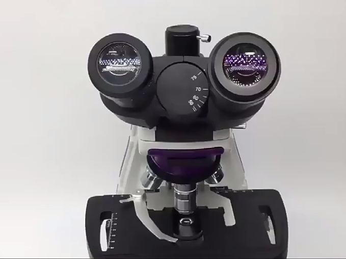 40x-1000X Compuesto binocular profesional Microsco