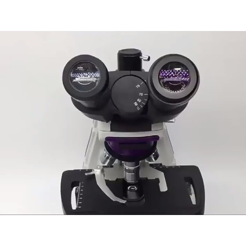 40x-1000x Microsco composto binoculare professionale