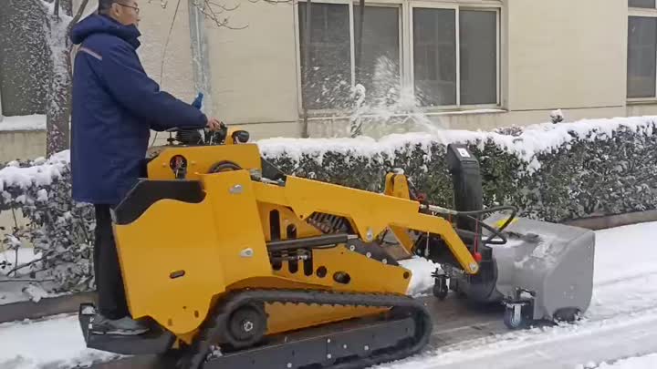 SKID Steer Loader 3