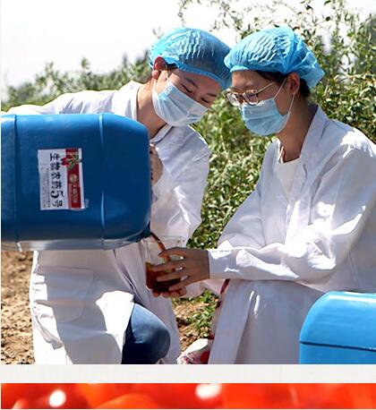 Ningxia Wolfberry Goji Industry Co.,ltd