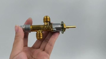 Plug Valve Video Display