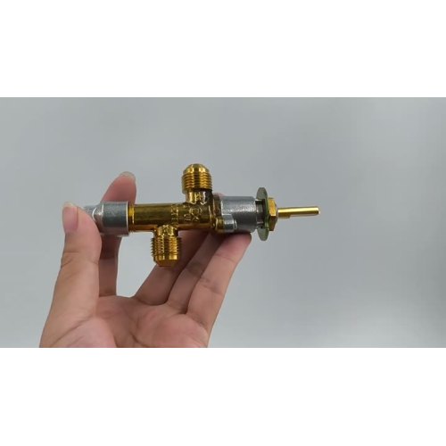 Plug Valve Video Display