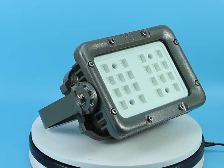 Explosion proof light-8260-120W