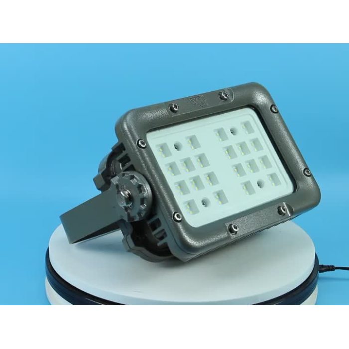 Explosion proof light-8260-120W