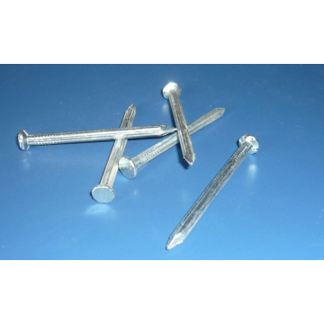 Ten Chinese Galvanized Concrete Nails Suppliers Popular in European and American Countries