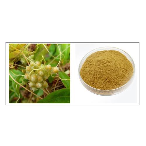 Dodder Extract: A Promising Breakthrough in the Field of Natural Remedies