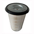 Factory Cheap Price High performance Diesel Tractors Engine Air Filter Cartridge AF25302 AF253031