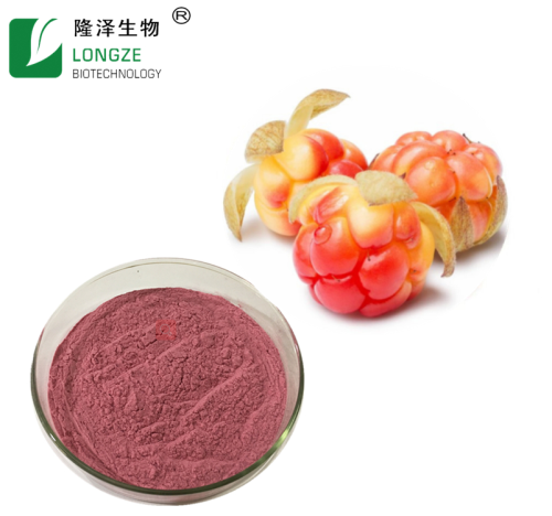 Pure natural fruit powder Cloudberry fruit extract powder