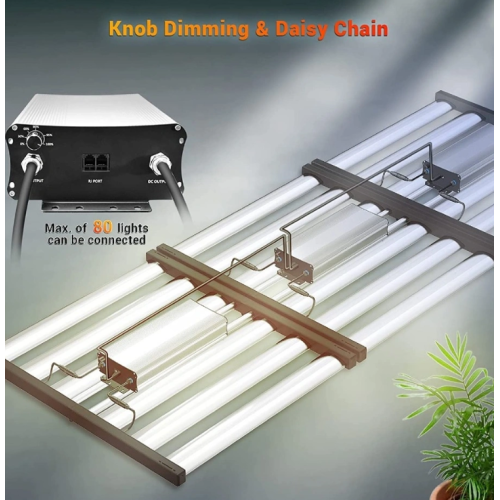 Full-color plant lights provide efficient full-spectrum lighting for plant growth