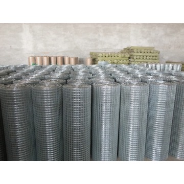 Ten Chinese Iron Mesh Suppliers Popular in European and American Countries