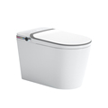 Intelligent Smart Ceramic Toilet with Elongated Flushing and Remote Control1