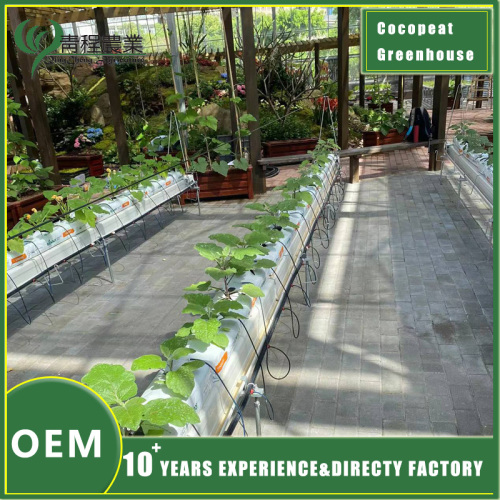 Diferencias entre sistemas de sombreado internos y externos en invernadero