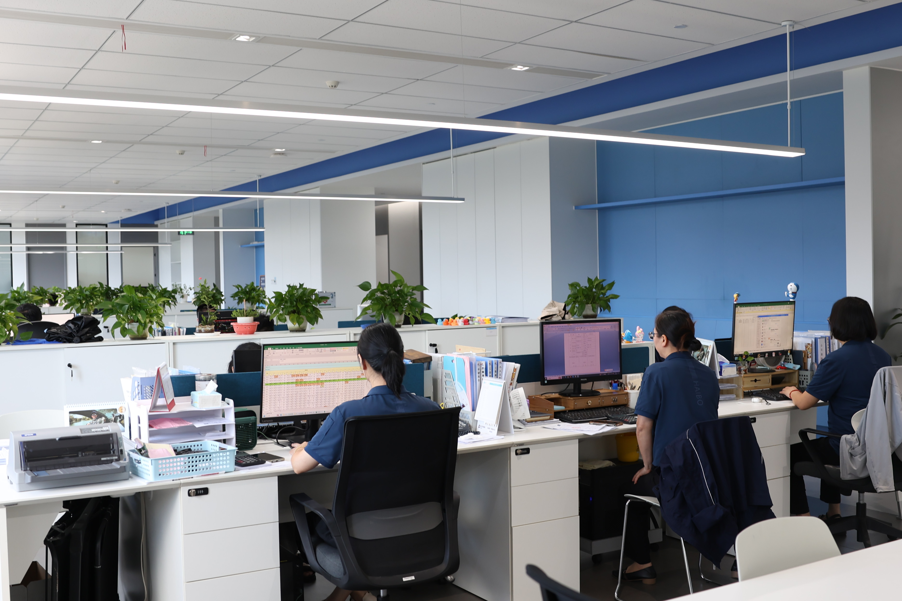 Haibo International Trade Co., Ltd.