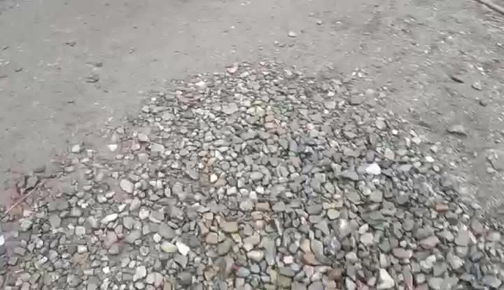 687A05ECAA33B7E9DFE5E0B4CFC196EA