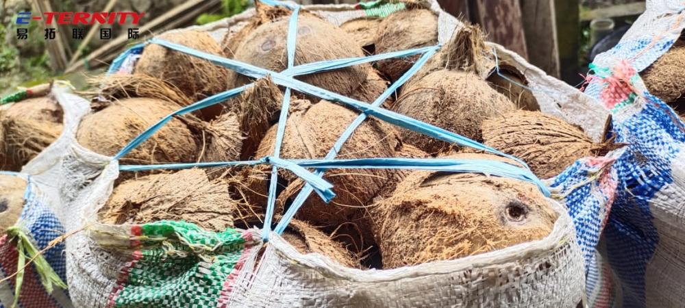 Vietnamese Coconut Shell Charcoal Warehouse