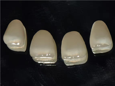 Mega Dental Lab