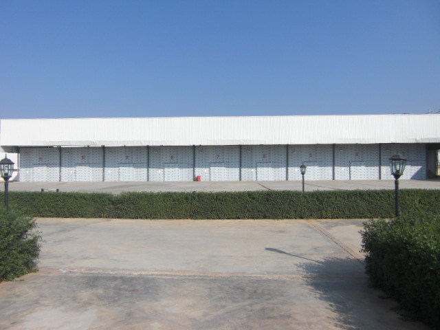 company