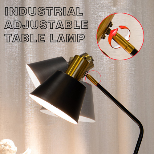 You may need an adjustable table lamp for your workspace