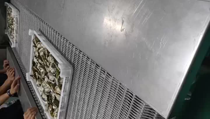 Spiral freezer for oyster