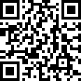 http://it.haideruigroup.com