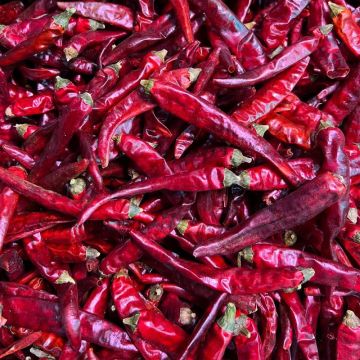 Top 10 Shizhu Chili Manufacturers