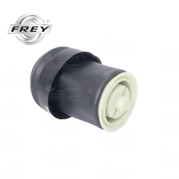 air suspension bag