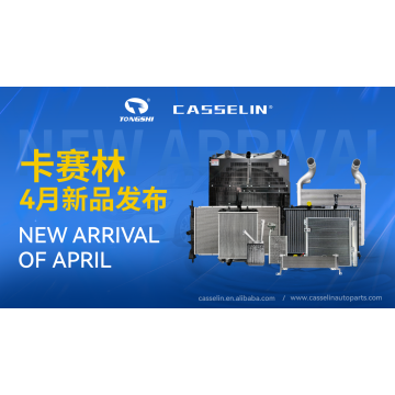 CASSELIN NEW ARRIVAL IN APRIL