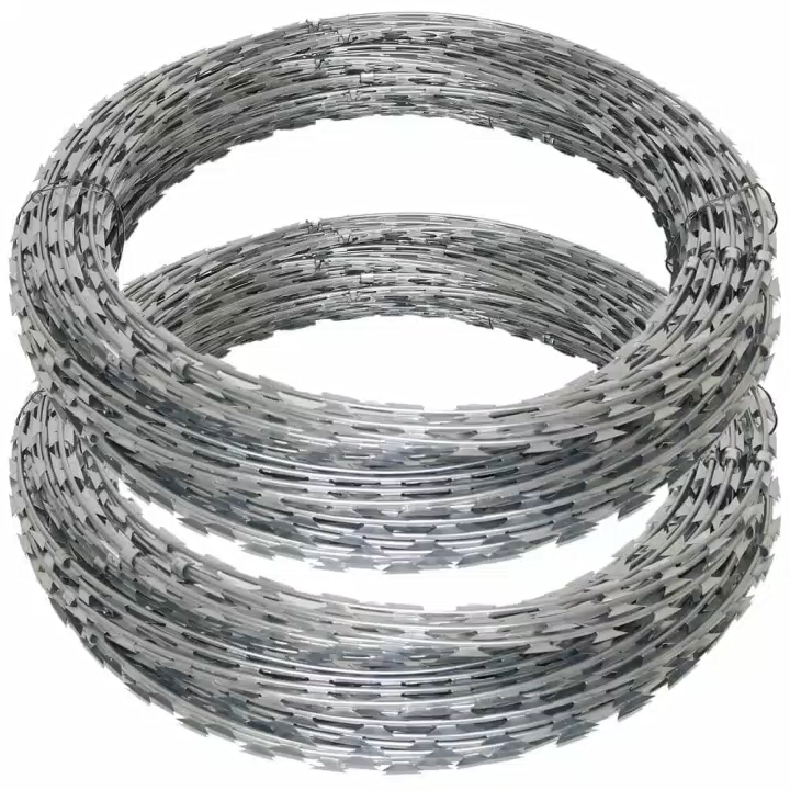 borong berkualiti tinggi Galvanized Concertina Razor Wire Tatu1