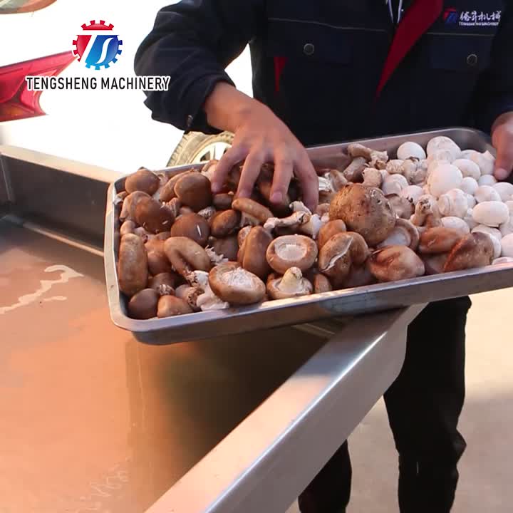 Máquina comercial automática de fatiar cogumelos TS-Q80B