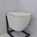 Wall-Mounted Toilet Flush Systems1