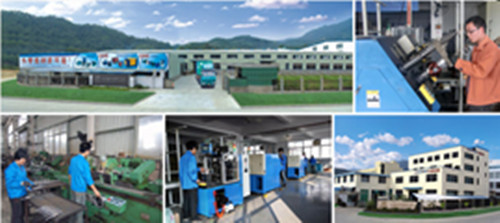 Fujian Dacheng Electric Group Co., Ltd.