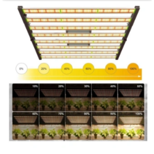 Led Grow Light - Illuminating Nature's Potential with Precision