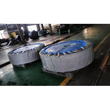 Top 10 Most Popular Chinese Rubber Timing Belt For Conveyor Brands