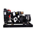 Yamamoto Parts for Generators with Chinese Yuchai YC2115ZD Engine in Mexico1