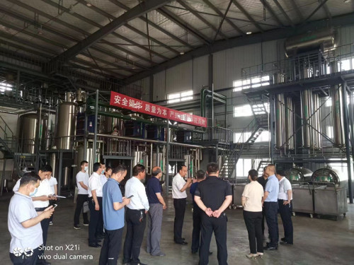 Extracto de prunellae de Spica