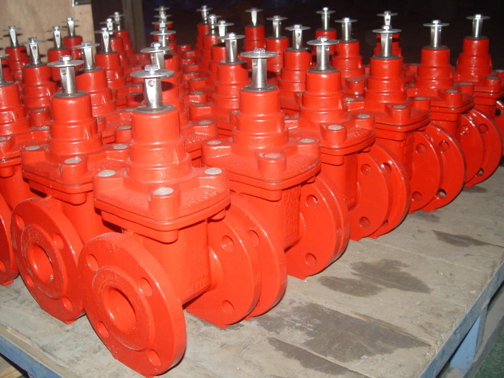 gate valve for gas