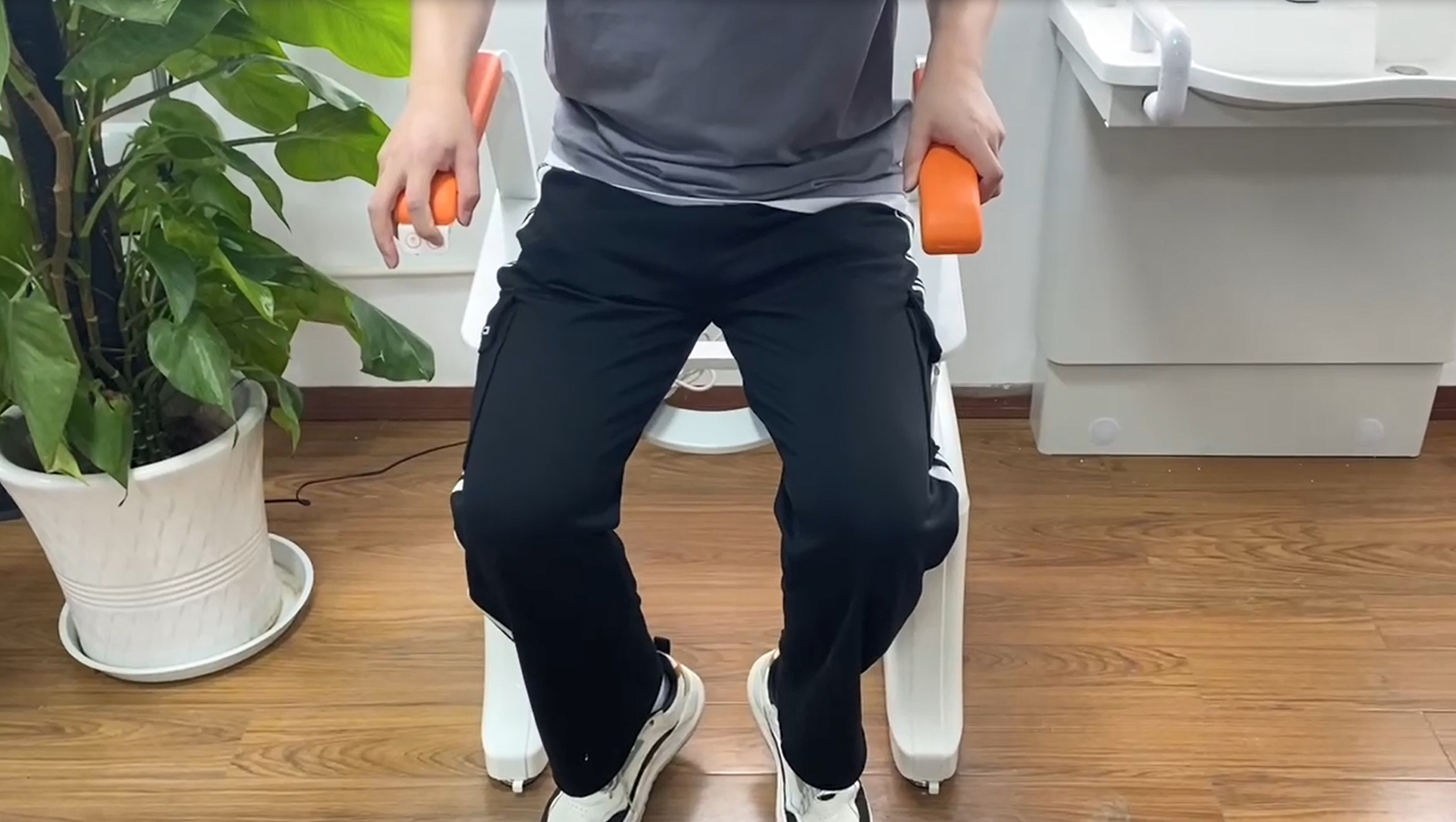 Electric toilet lift chairs