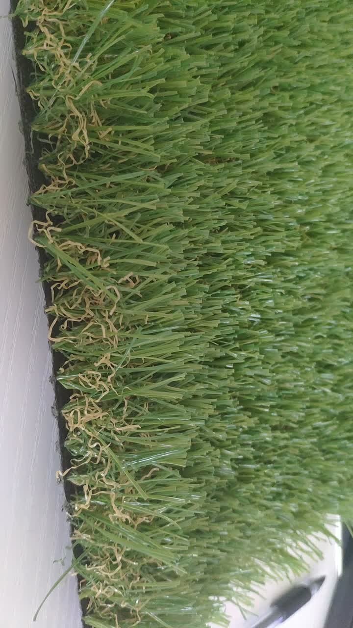 4 цвета пейзажной травы