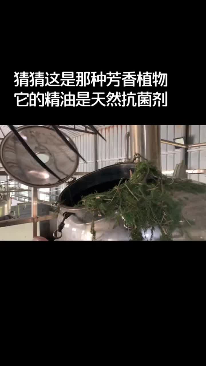 水蒸気蒸留装置