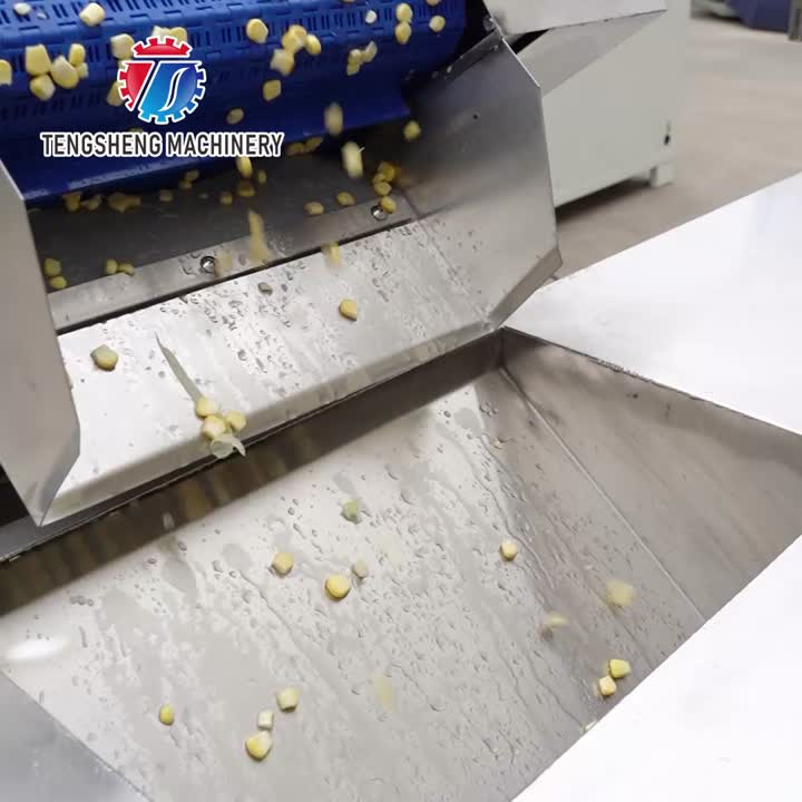Máquina comercial automática de branqueamento de vegetais TS-X200B