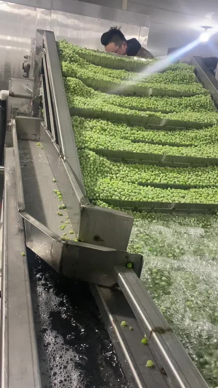 Ligne de production de pois IQF3 vitrage