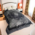 Wholesale 100% Polyester Korean Style Raschel Mink Blanket1